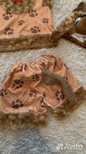 Новогодний костюм собаки Аренда