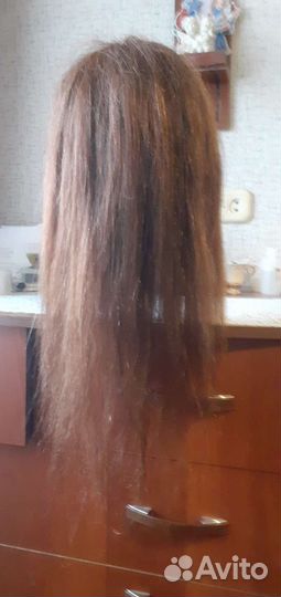 Учебная голова для причесок