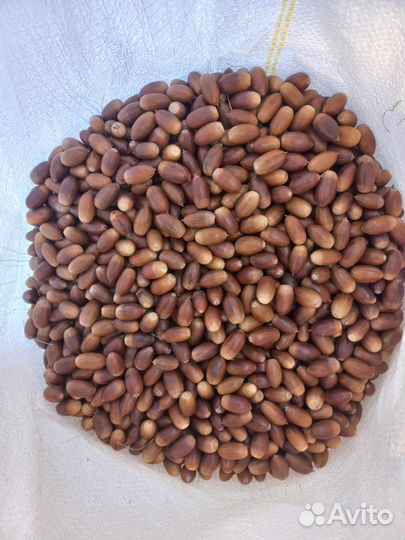 Корма для животных