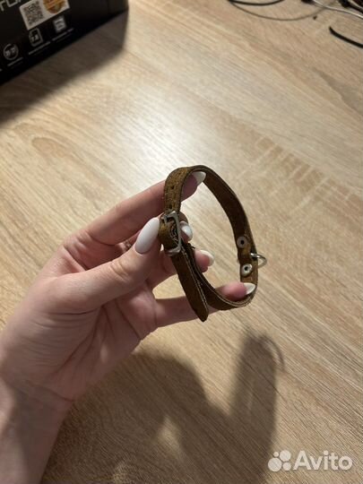 Ошейник и поводок для щенка