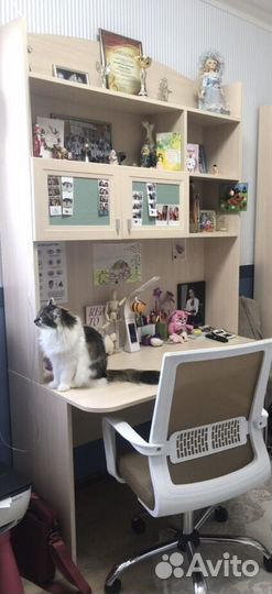 Кровать с матрасом + письменный стол с полками