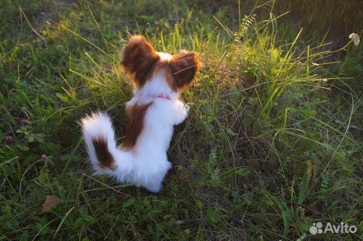 Щенок Папильон (игрушка интерьерная реалистичная)