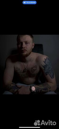 Кинолог аферист