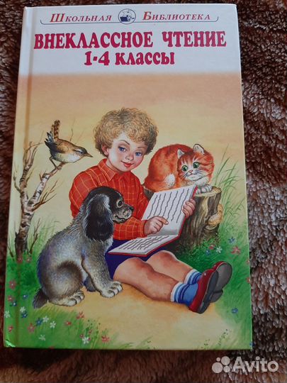 Внеклассное чтение