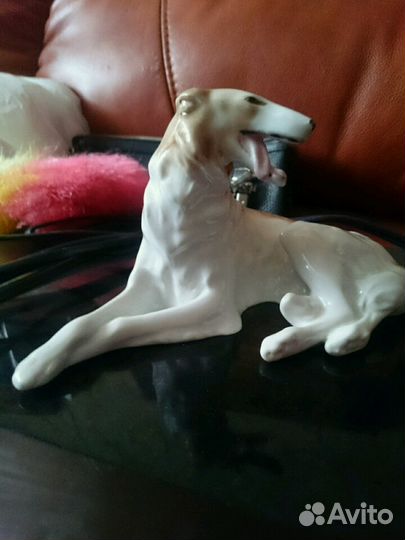 Русская борзая лфз