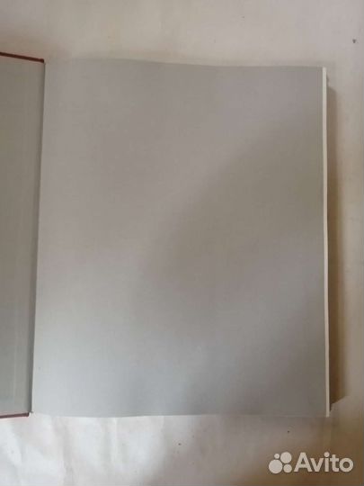 М. Сарьян Цветы