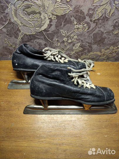 Коньки гаги