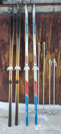 Беговые лыжи