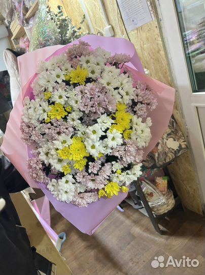 Хризантема букет из хризантем 15 25 51 101