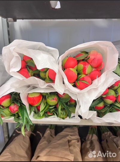 Пионы.пион.розы.букет.кустовая роза