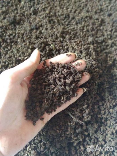 Иван чай ферментированный