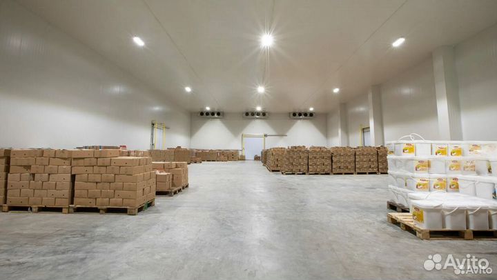 81 тысяч пассивный доход. Ищу инвестора в бизнес