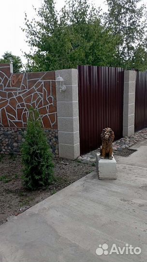 Штукатурка короед. званить по делу