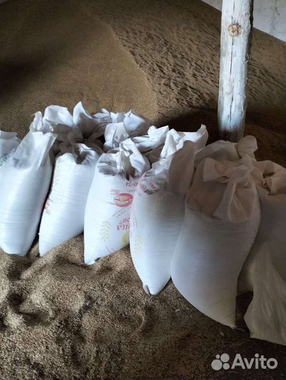 Пшеница мешками