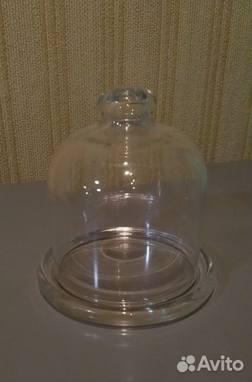 Емкость для хранения лимона, кувшин в холодильник