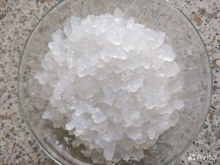 Индийский морской рис