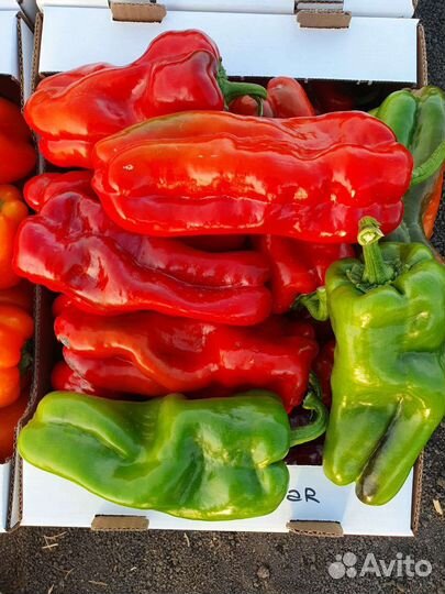 Семена овощных культур