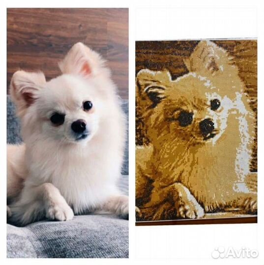 Картины из lego и 