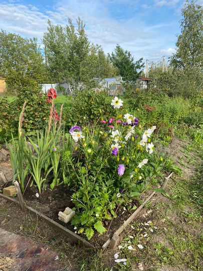 Участок 5 сот. (СНТ, ДНП)