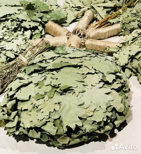 Дубовый веник