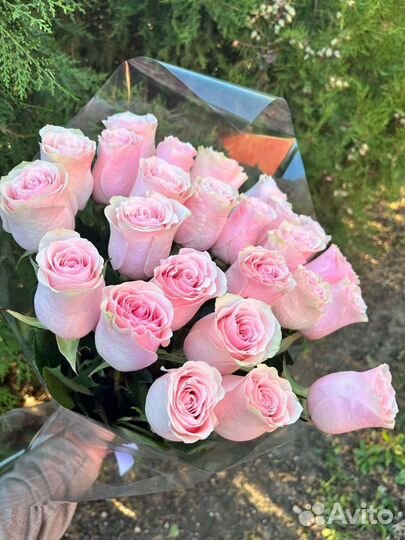 Роза цветы букет опт