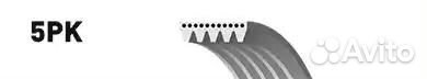 Ремень 5PK1163