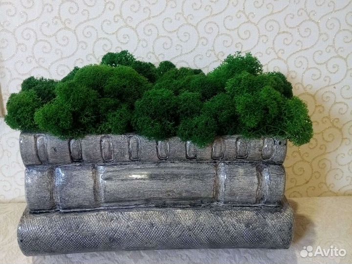 Мох в кашпо для интерьера (декор)