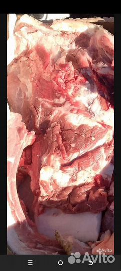 Мясо кабанчика