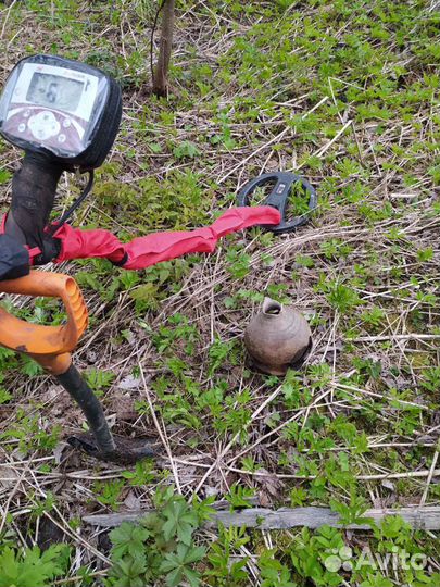 Minelab x terra 505