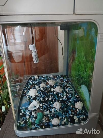 Аквариум
