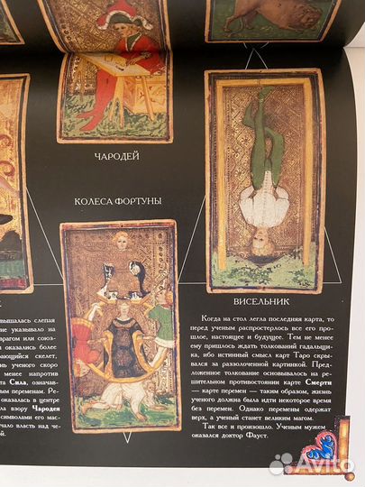 Серия книг зачарованный мир