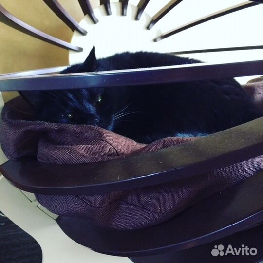 Шар. Лежак для кота