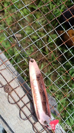 Спиннинг на щуку