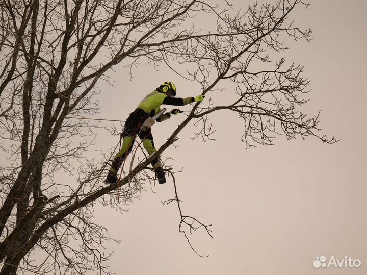 Спиливание деревьев