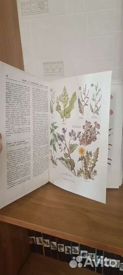 Книга энциклопедия выживания