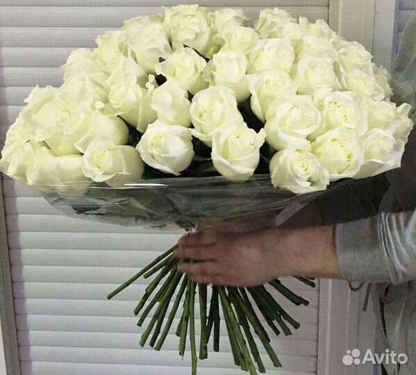 Высокие розы Гигантские Розы 150 160 170 180 190см