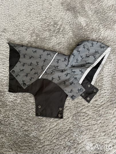 Дождевик для небольшой собаки серый