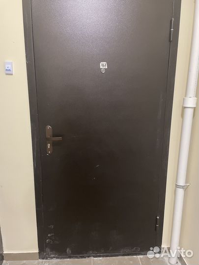 Дверь входная металлическая от застройщика, унитаз