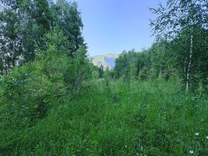 Участок 1,7 га (промназначения)