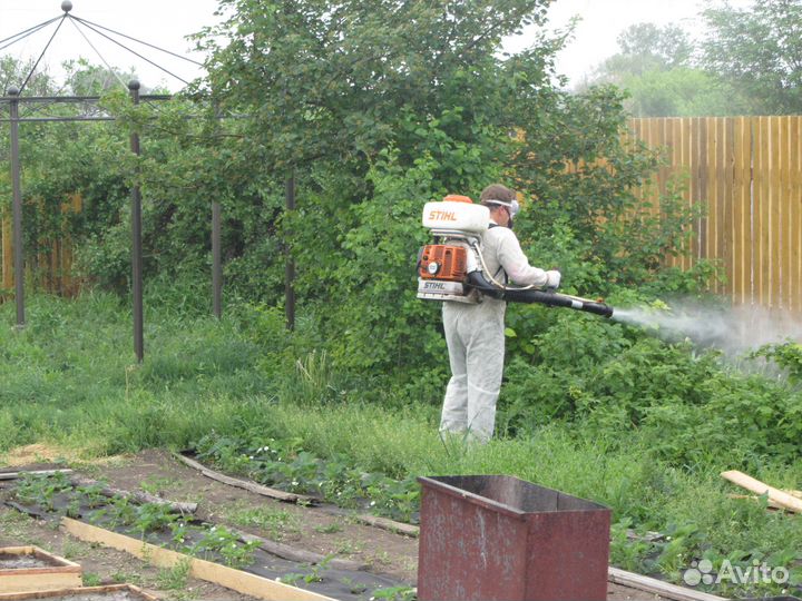 Дезинфекция и дезинсекция, уничтожение насекомых