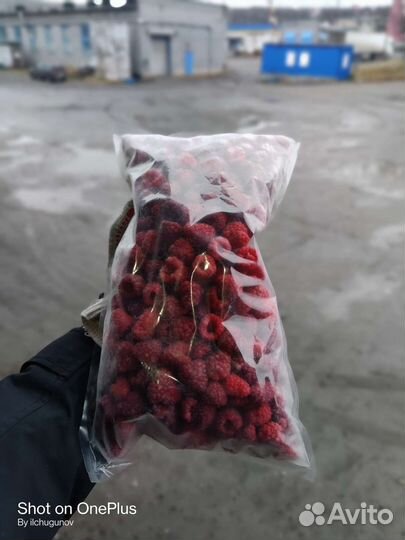 Продам Ягоду Морошка Брусника Черника Клюква