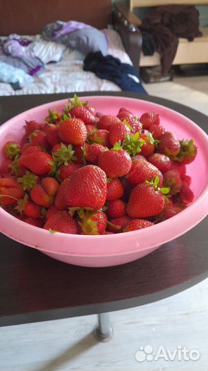 Клубника Мурано