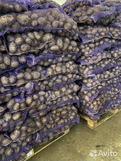 Картофель оптом