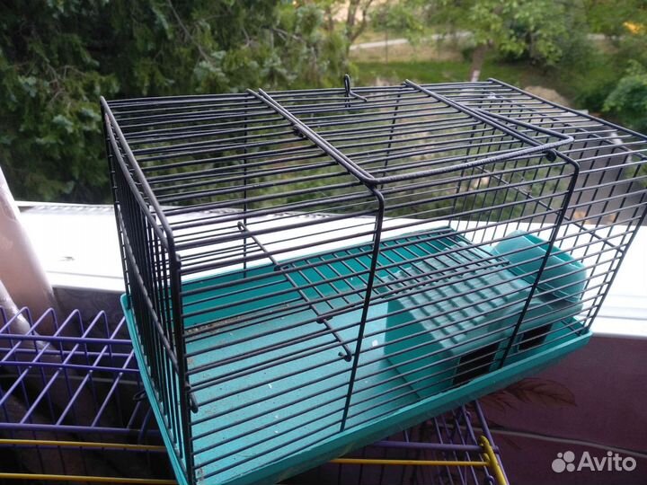Клетка для джунгарского хомяка