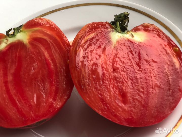 Продам помидоры