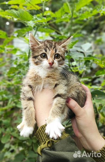 Очаровашка девочка