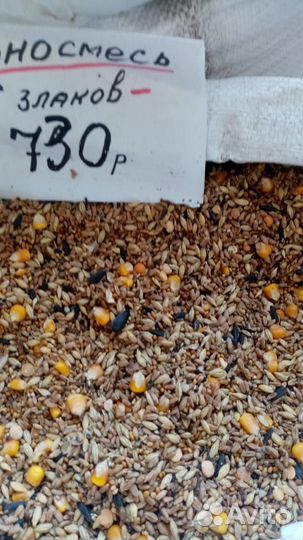 Корма для животных