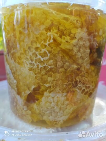 Забрус пчелиный(сотовые крышечки, печатка)