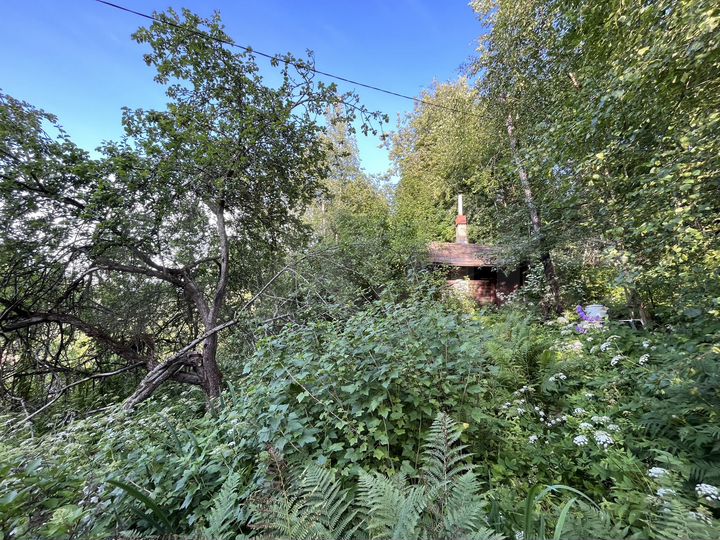 Участок 6,9 сот. (СНТ, ДНП)