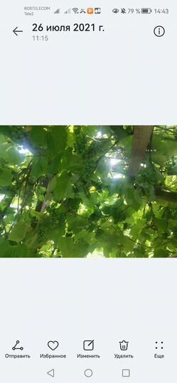 Дача 20 м² на участке 5,7 сот.